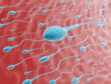 Sperma. 8 veiksniai, kenkiantys jos kokybei