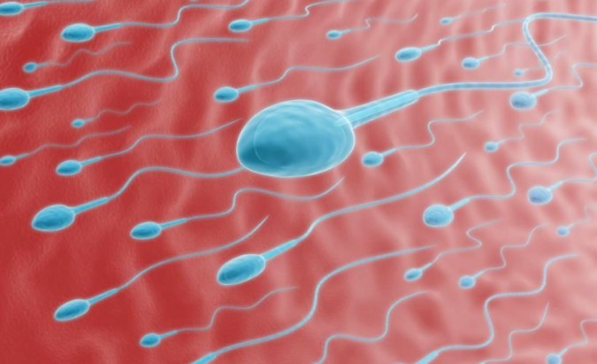 Sperma. 8 veiksniai, kenkiantys jos kokybei