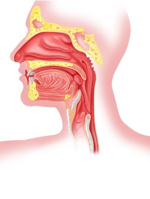 Lėtinio laringito priežastys dažnai susijusios su įkvepiamais alergenais 