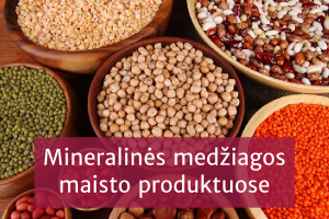 Mineralinės medžiagos maisto produktuose. Jų stoka ir perteklius