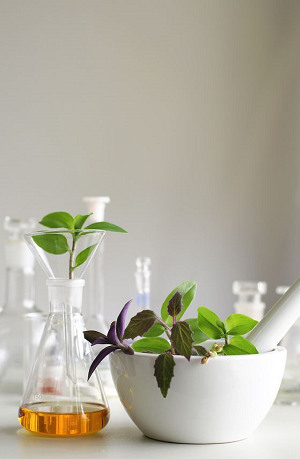 Vaistažolės ir moksliniai tyrimai ‒ kiek pasistūmėta? Vaistažolės ir moksliniai tyrimai ‒ kiek pasistūmėta?